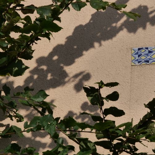 Fotografie: Nel Wilkes