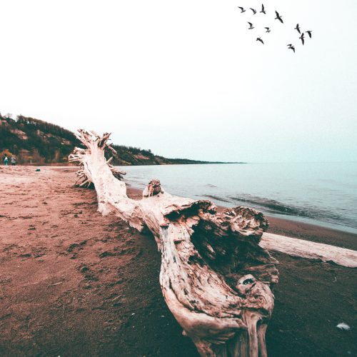 pexels-javon-swaby-2766319